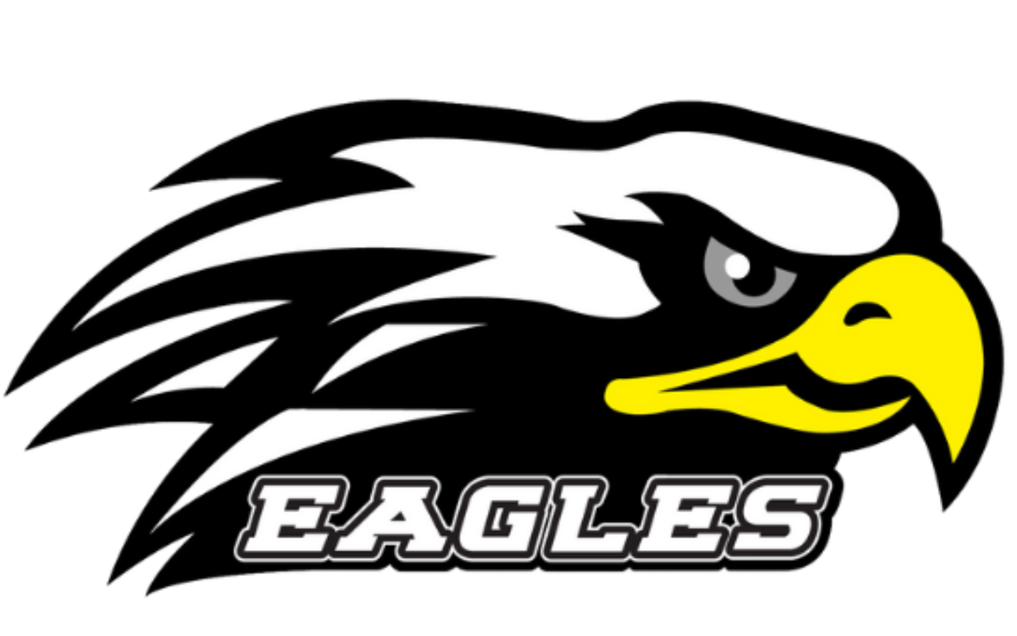 Steele Heights Boys Flag Football